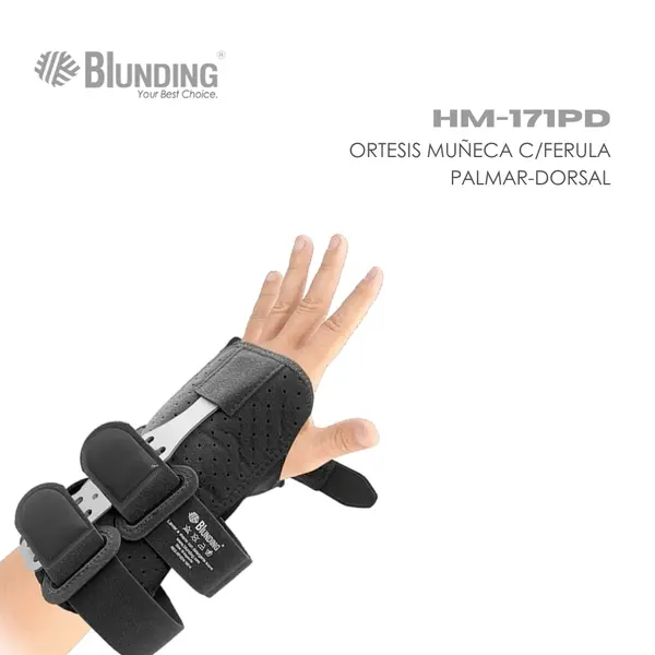 HM-171PD@4.webp