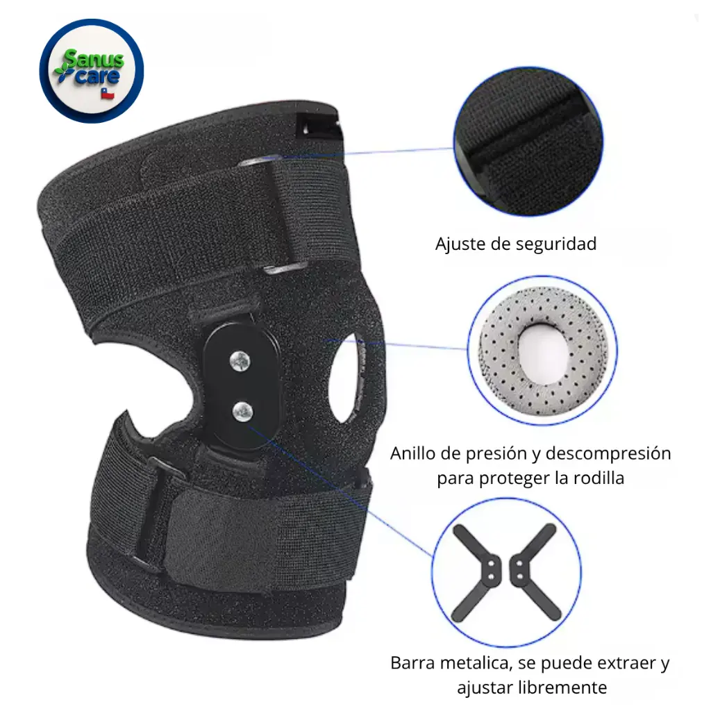 Título primario (13).webp