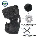 Título primario (13).webp