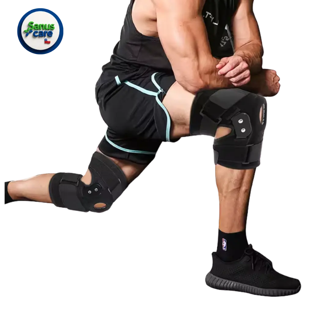 Título primario (15).webp